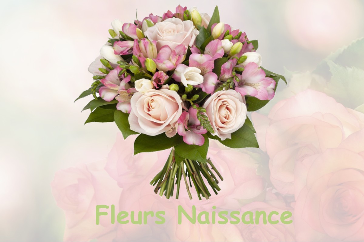 fleurs naissance SAINT-MICHEL-CHEF-CHEF