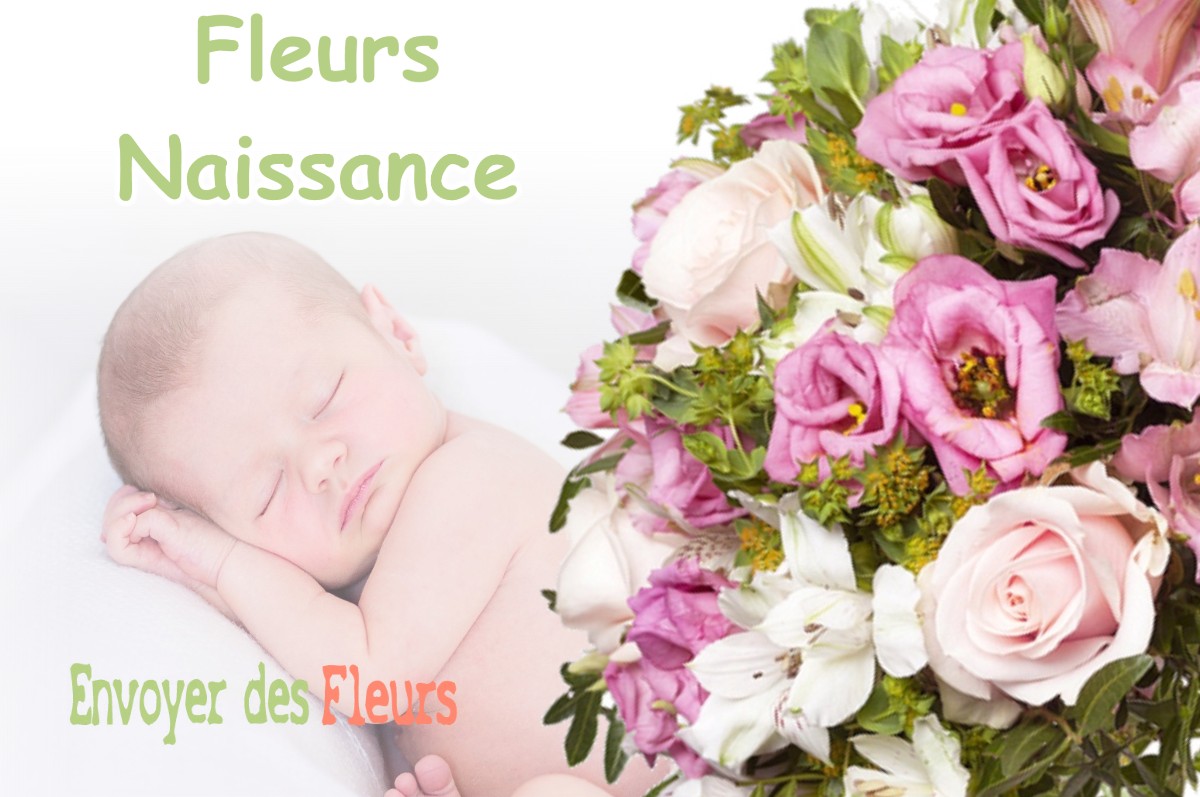 lIVRAISON FLEURS NAISSANCE à SAINT-MICHEL-CHEF-CHEF